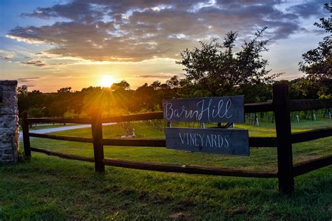 Barnhill vineyard - BarnHill Vineyards, 11917 County Road 509, Anna, TX, 75409, United States Christina@barnhillvineyards.com. BarnHill Vineyards 11917 County Road 509, Anna, TX 75409 